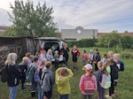 weinlese kln