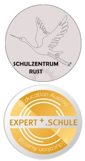 ms rust logo expertplus